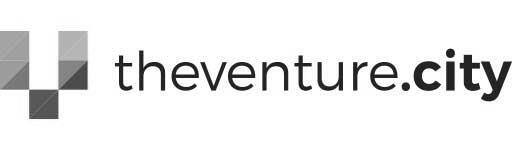 Logo The Venture City gris