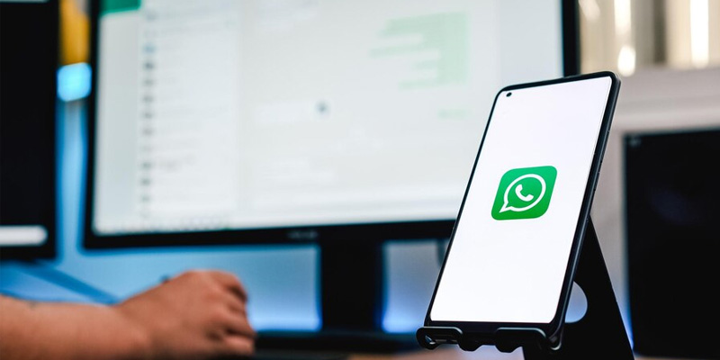 whatsapp business moonflow