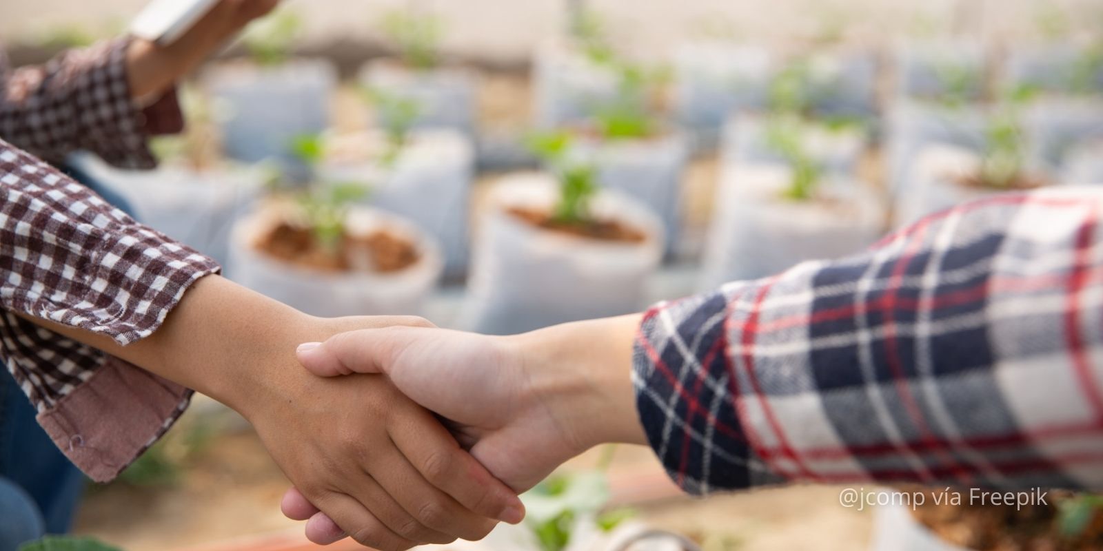 Sector agroindustrial: soluciones de cobranza adaptadas al campo